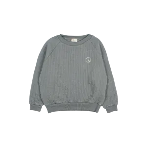 6674-PADDED SWEATSHIRT-Elephant