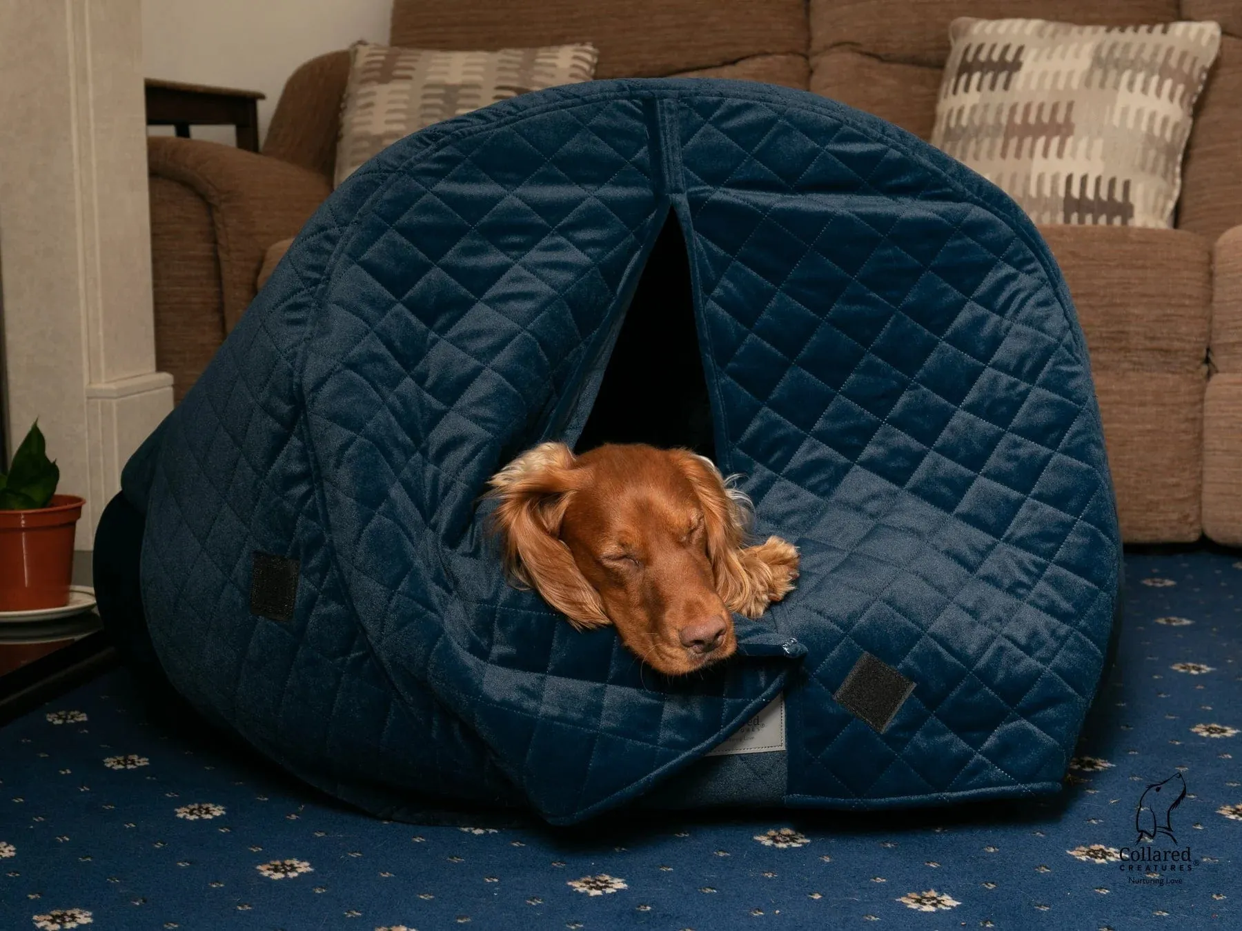 Collared Creatures Sapphire Blue Quilted Velour Deluxe Comfort Cocoon Dog Cave Bed