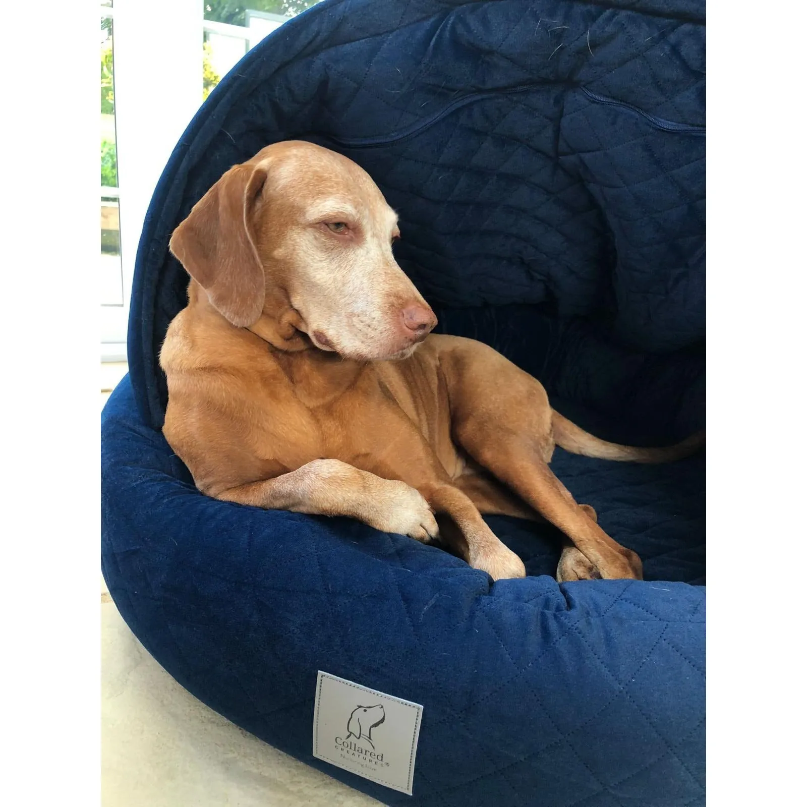 Collared Creatures Sapphire Blue Quilted Velour Deluxe Comfort Cocoon Dog Cave Bed