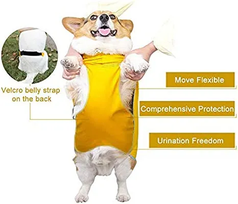 Dog waterproof Raincoat and Poncho with Belly Protection