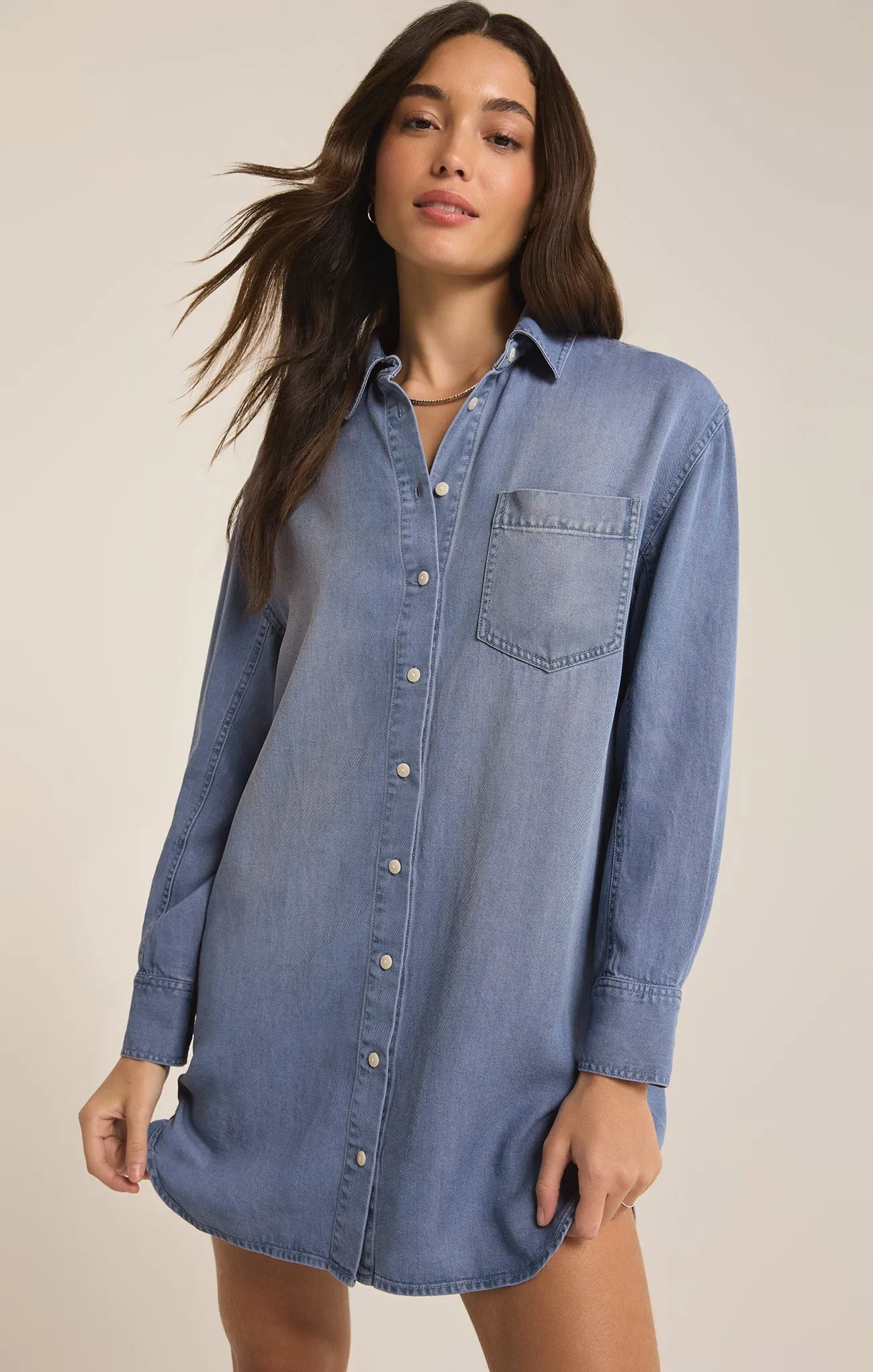 Dover Chambray Mini Dress