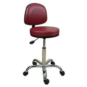 Oakworks Professional Stool with Round Base and Backrest